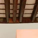 Flamini Domus Charming Suites